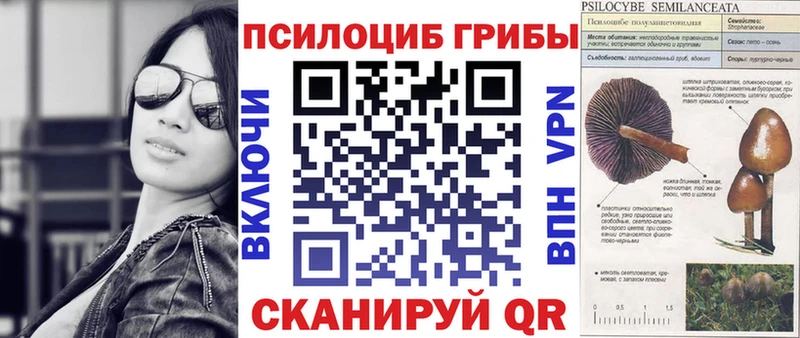 Галлюциногенные грибы Cubensis  где найти наркотики  мега ССЫЛКА  Жуковка 